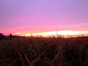 宗像　夕日