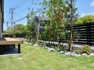 植栽で目隠し　常緑樹メイン　