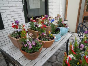 寄せ植え1