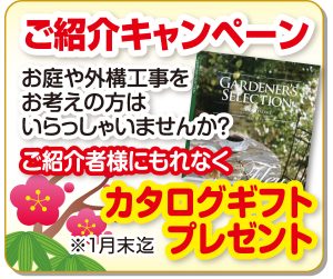 ご紹介キャンペーン　新春イベント