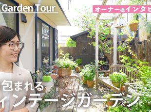 ガーデン　ヴィンテージ　お庭　洋風　緑　樹木　植栽