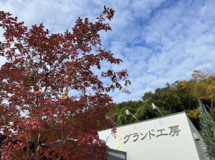 サルスベリ　紅葉