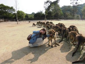 グリーンパーク　響灘緑地　ひびき動物ワールド　カンガルー広場　カンガルー