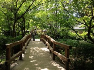 湯布院　金鱗湖　夏休み