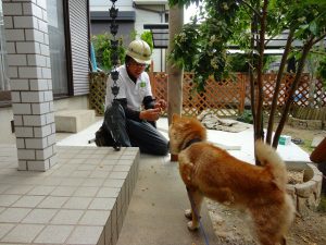 匠会　ｶﾞﾆﾌｧｰ　古賀さん　かわいい　犬　工事中　ほっこり　ガーデン工事