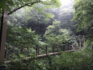 高尾山　4号路