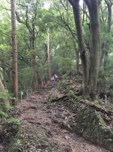 高尾山　途中