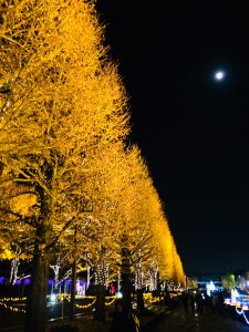 昭和記念公園　イルミネーション