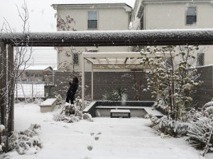 雪の中の松田さん