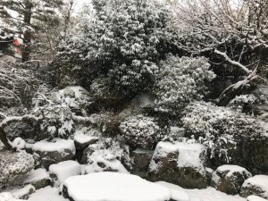 雪