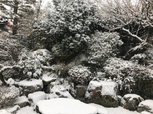 雪