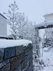 2018年　冬　横浜