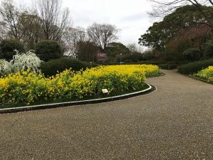 動植物園　入口付近