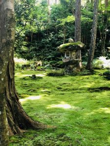 三千院　苔庭