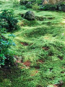 三千院　わらべ地蔵