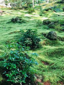 三千院　わらべ地蔵