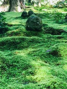 三千院　わらべ地蔵