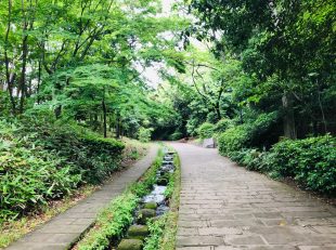 都筑区　山崎公園